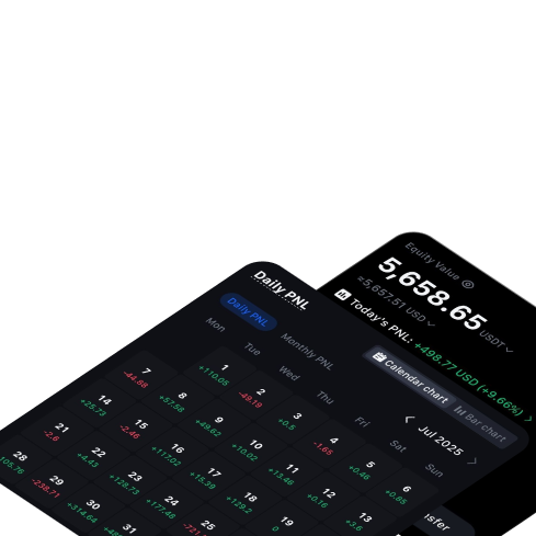 Transparent Summary Account